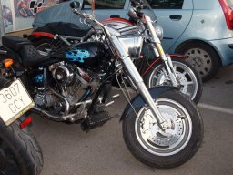 XVII Concentracion - 2010